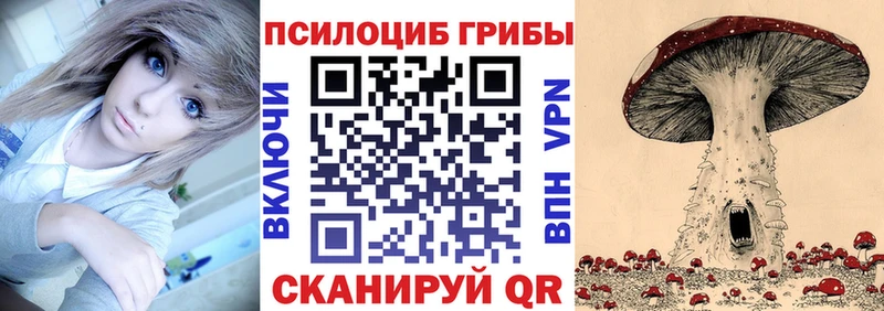Галлюциногенные грибы Cubensis мега вход Адыгейск